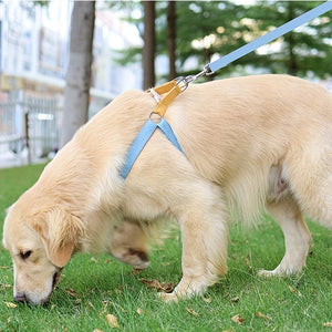 Why Your Pet Deserves the Rainbow Colorblock Pet Harness Vest Leash Set
