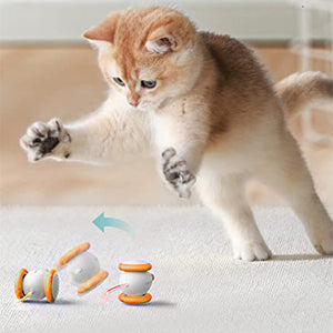 Engage Your Feline Friend with the Electric Intelligent Pet Teasing Charging Toy