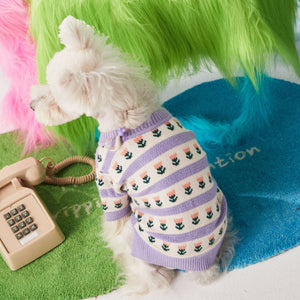 Pet Flower Cardigan Sweater: The Perfect Blend of Comfort and Style