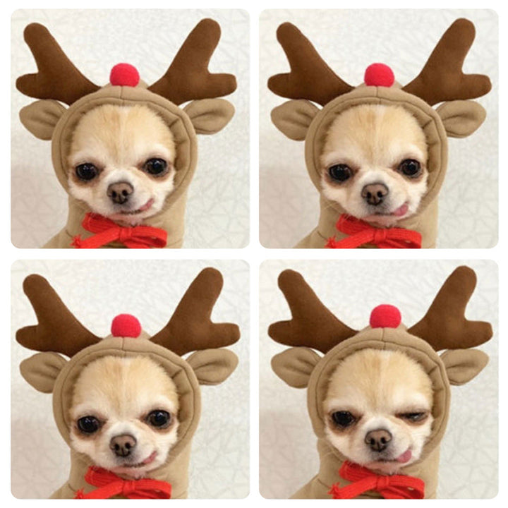 Hooded Sweater Apricot Elk Pet Clothes: The Perfect Blend of Comfort and Style for Your Furry Friend