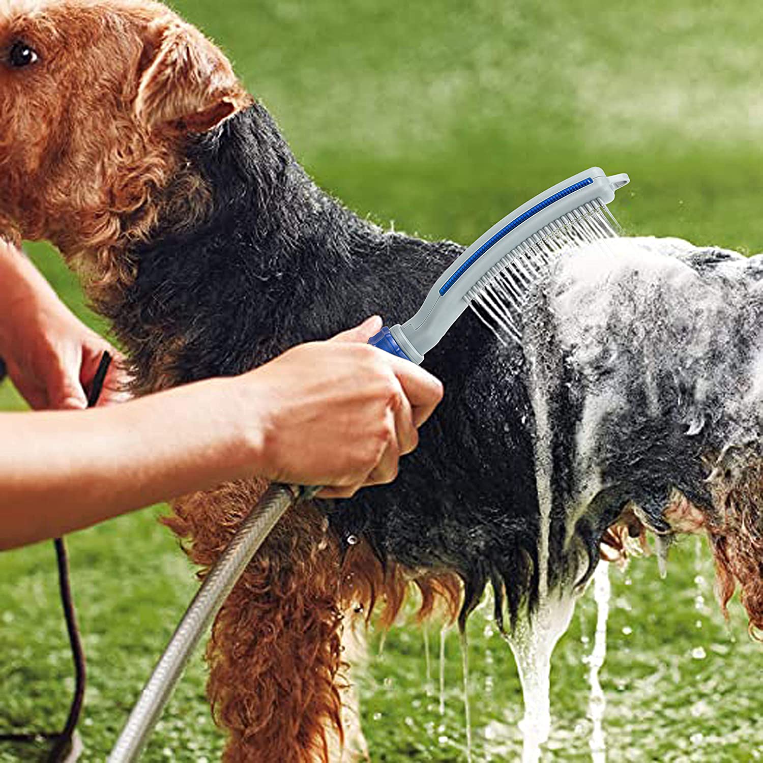 Transform Bath Time into a Fun Experience with the Pet Bath Brush Shower