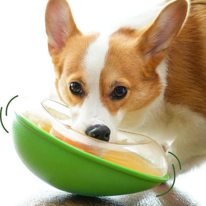 41ab7604c6d5ed578239d345c2ab314b