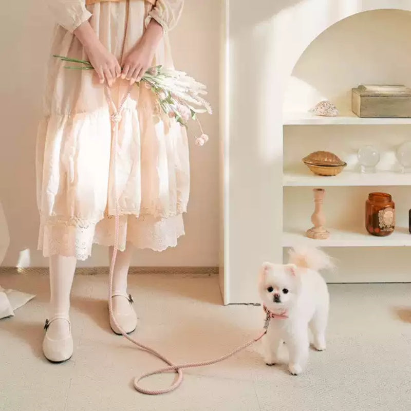 38e88dd36f770e51ca6b1f2bf181728d